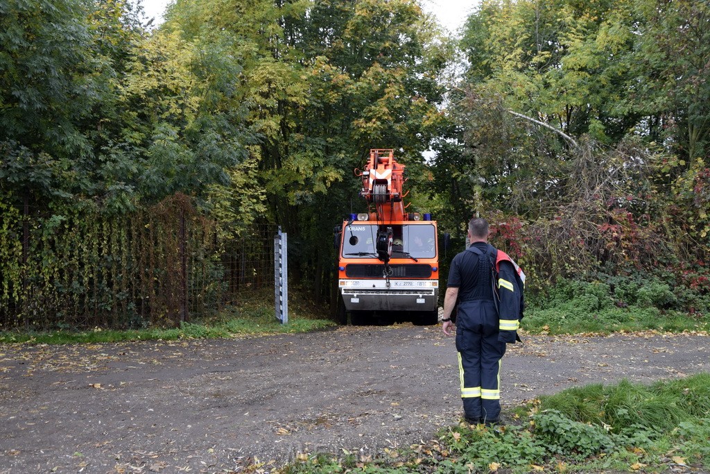 Einsatz BF Koeln PKW im See Koeln Esch P245.JPG - Miklos Laubert